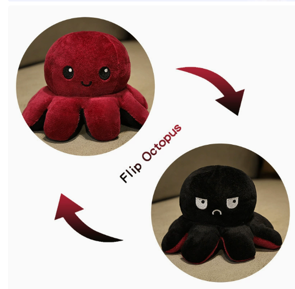 https://static.hzpdex.com/product/20260520/2c4fe434-4ea7-48b2-b67f-fe361b869d55.png